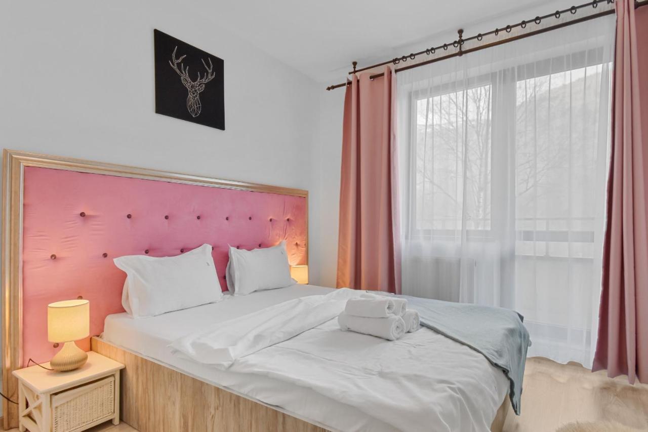 Cri Colina Marei Apartment Sinaia Luaran gambar